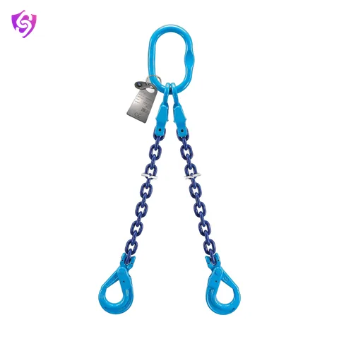 Saifload Chain sling, two leg