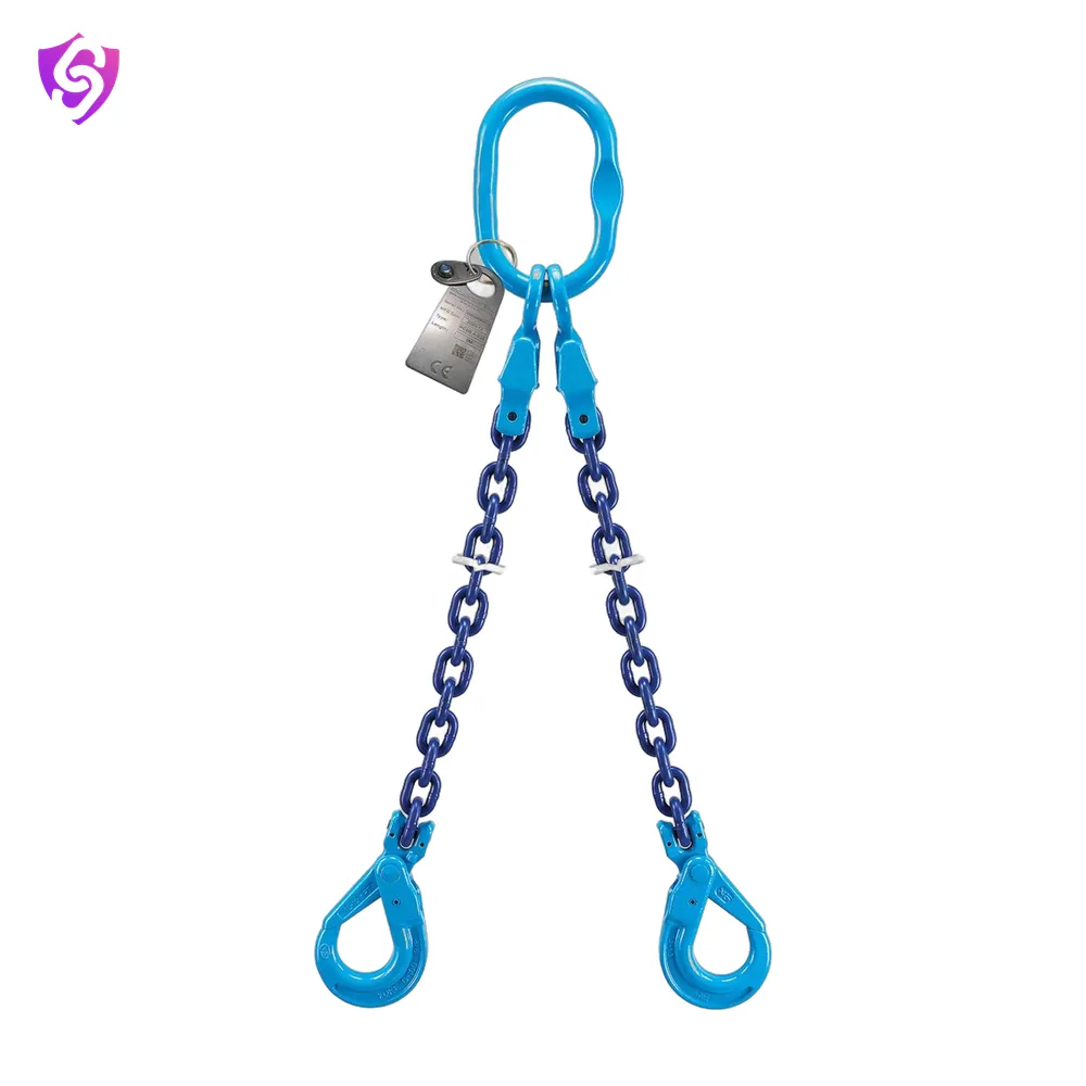 Saifload Chain sling, two leg